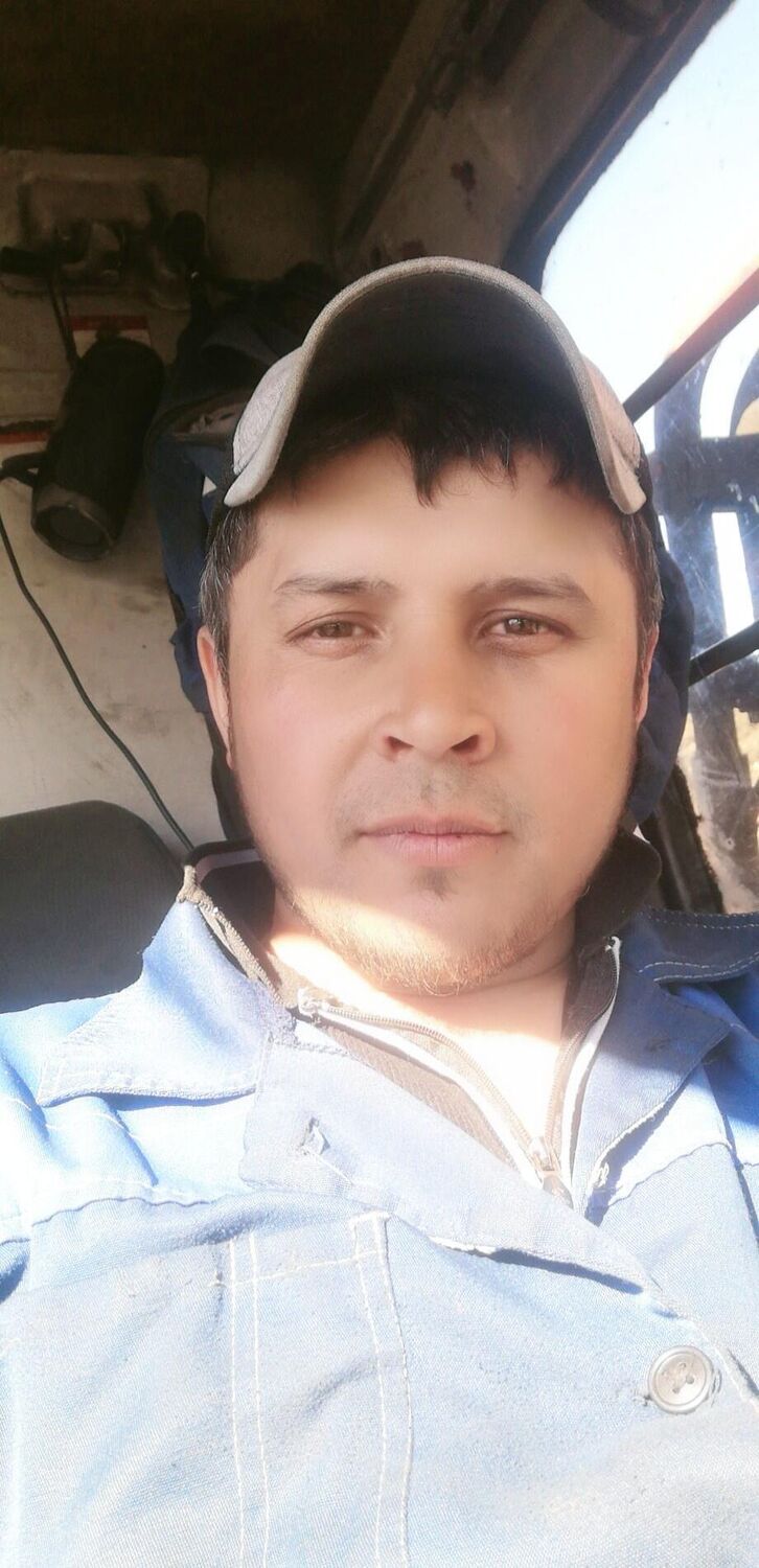  50082857  , 31 ,    
