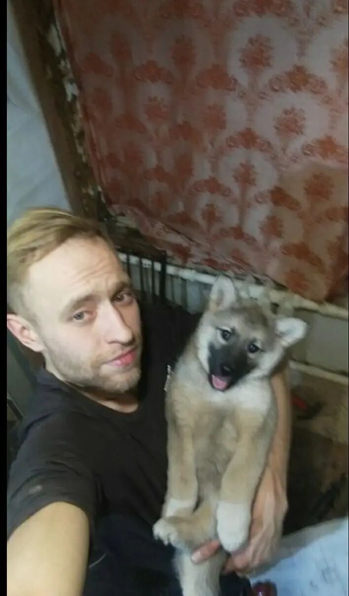  39455567   , 32 ,    