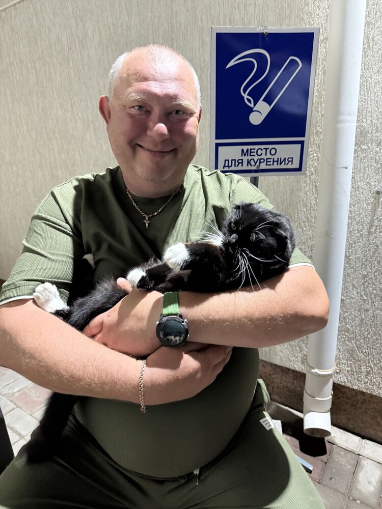 ���� 55301987 ������� �����, 49 ���, ���� ���������� � ��������