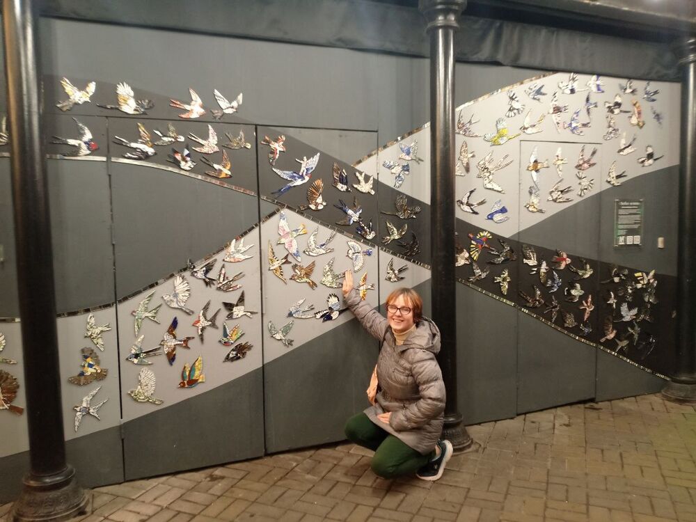  54440517  , 31 ,    -