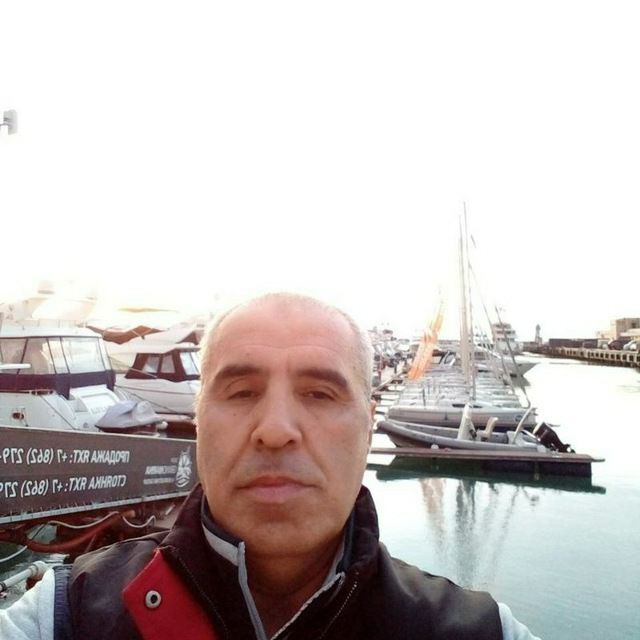  33868457  , 49 ,    