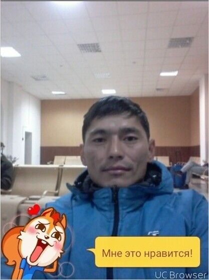  ,   , 41 ,  