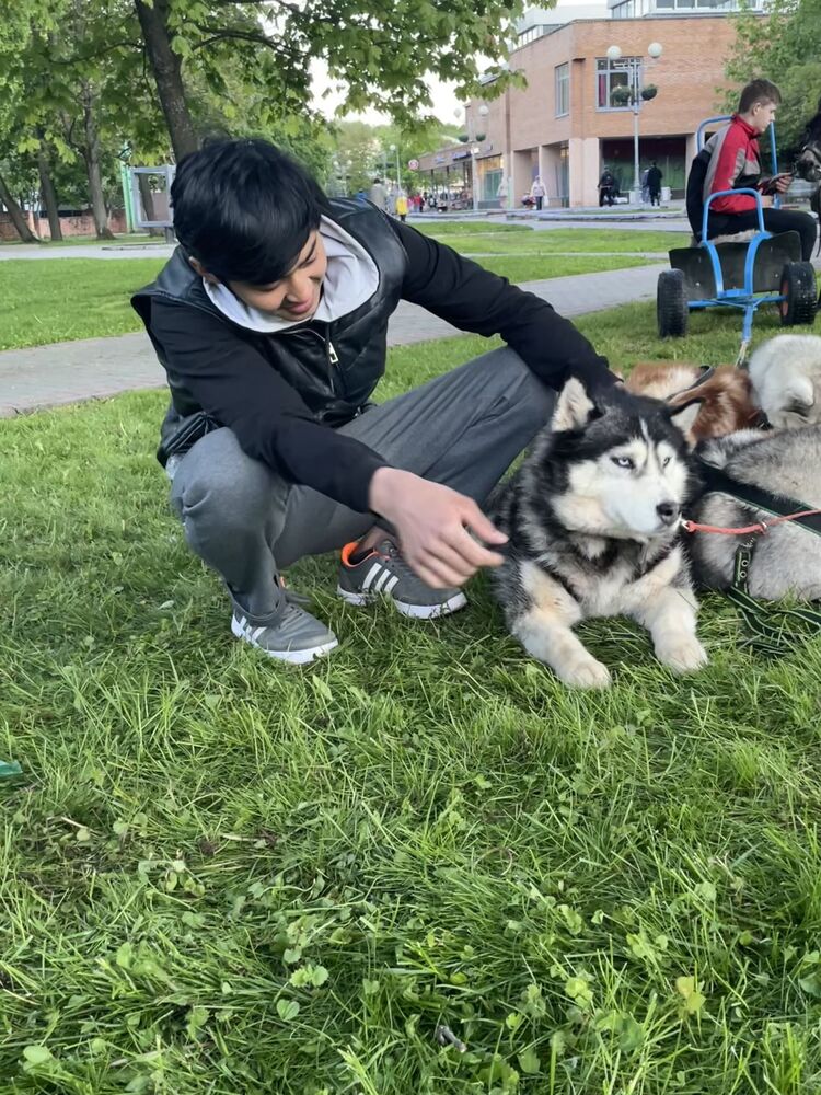 ���������� �����-���������, ���� ������� ���, 26 ���, ������������ ��� ������, ����� � ���������