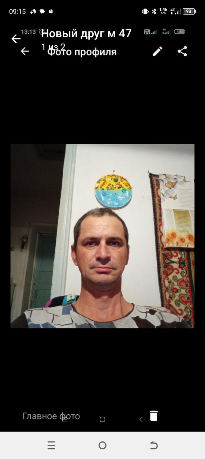  43774667  , 48 ,    