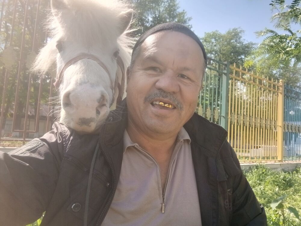  ,   , 56 ,   ,   