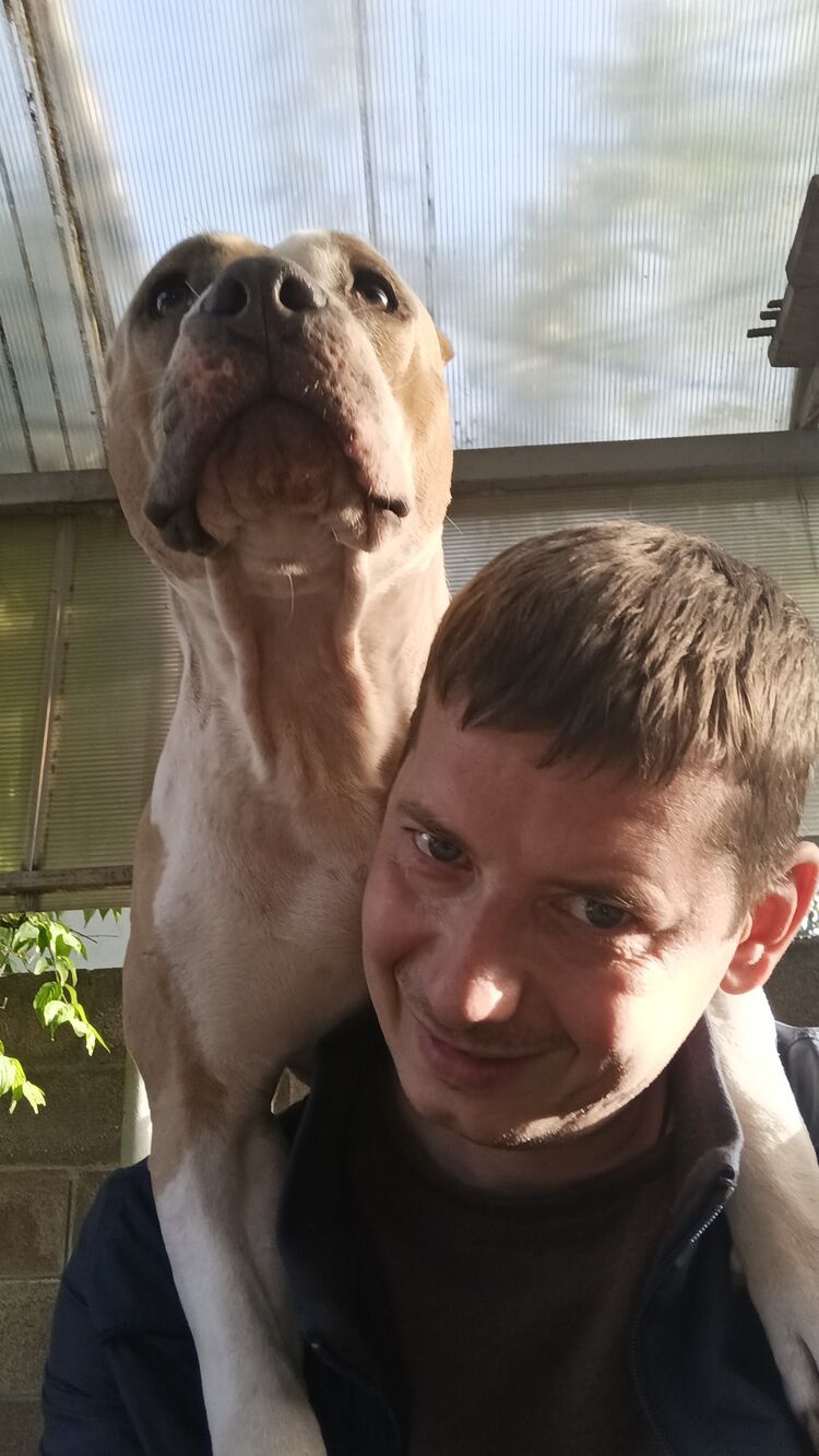 ���������� �����������, ���� ������� �������, 41 ���, ������������ ��� ������, ����� � ���������