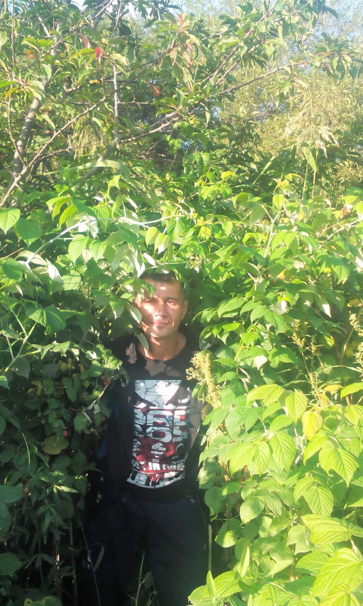 ���������� ����-���������, ���� ������� �����, 44 ����, ������������ ��� ������, ����� � ���������, c�������� ���������