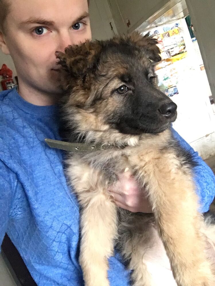 ���������� ������ ��������, ���� ������� �������, 29 ���, ������������ ��� ������, ����� � ���������, c�������� ���������