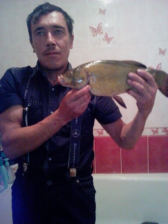  ,   , 47 ,     , c 