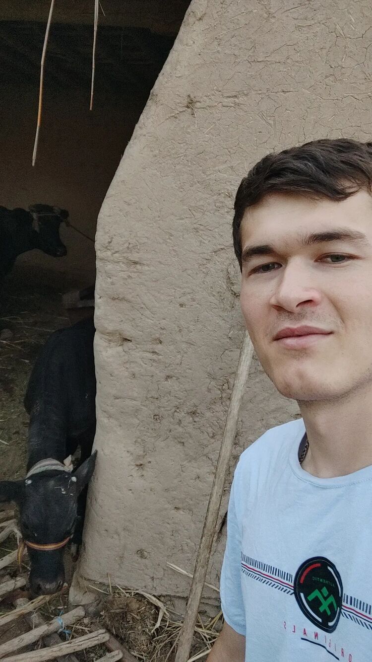 ���������� ������, ���� ����� Bek, 22 ����, ������������ ��� ������, ����� � ���������