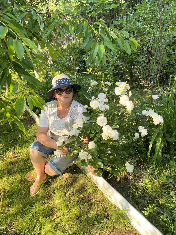 ���������� �����, ���� ������� ���������, 56 ���, ������������ ��� ����� � ���������, c�������� ���������