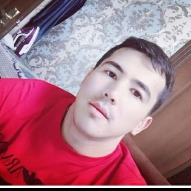 43175607  , 28 ,    -