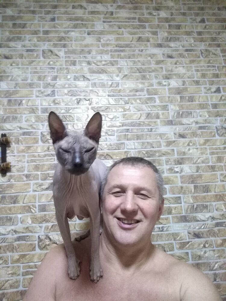 ���� 21659207 ������� ������, 45 ���, ���� ���������� � �������������