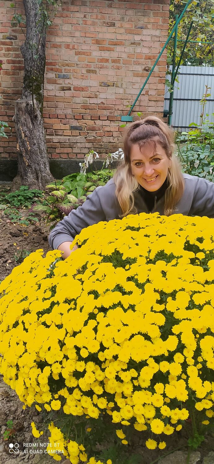  ,   Lina, 41 ,  