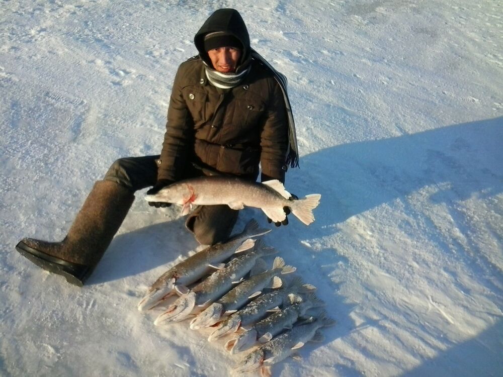 ���������� ������, ���� ������� ������, 43 ����, ������������ ��� ������