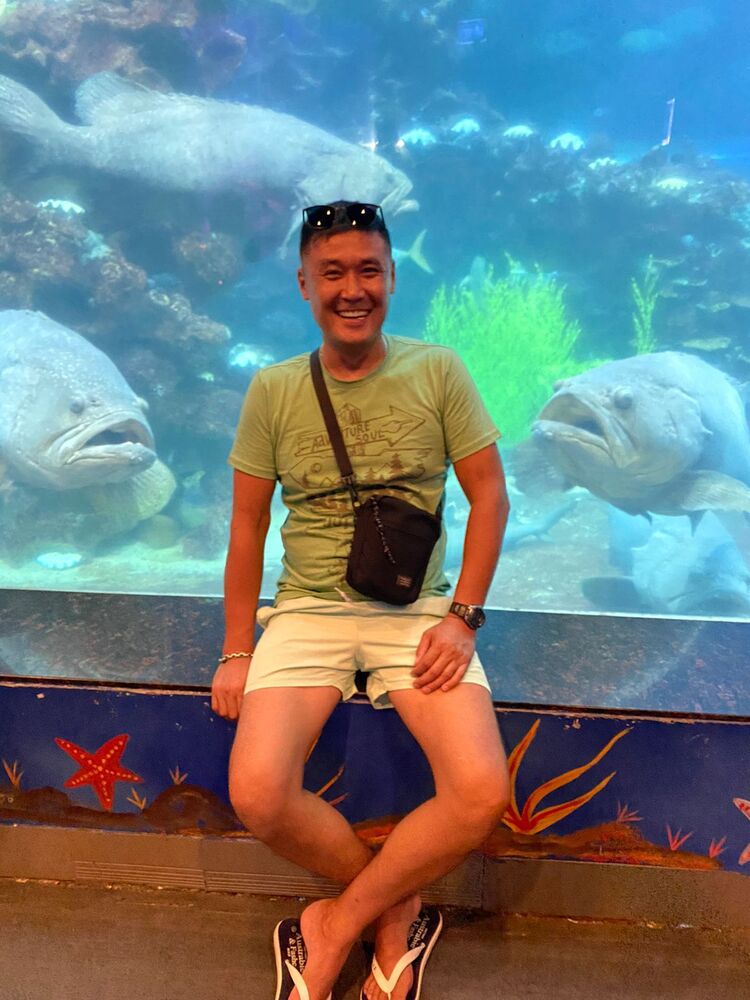 ���������� ��������, ���� ������� ������, 41 ���, ������������ ��� ������, ����� � ���������