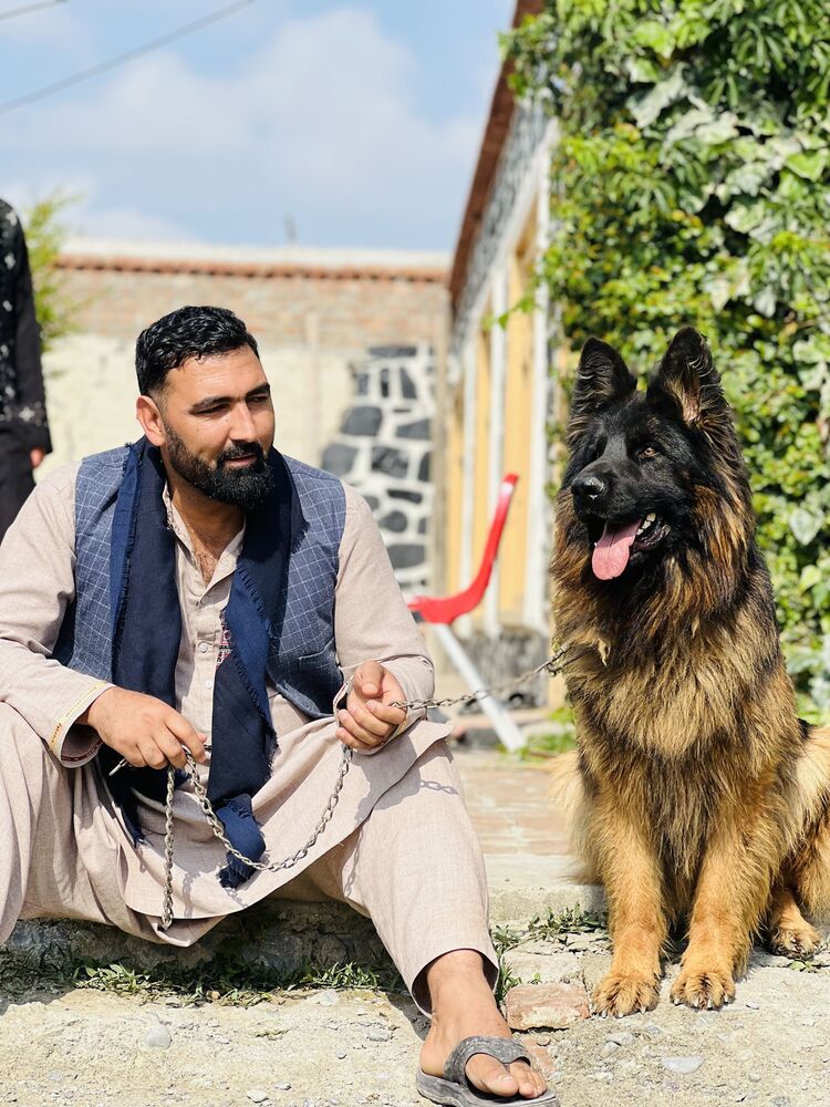 ���������� ������, ���� ������� Abdullah, 37 ���, ������������ ��� ������, ����� � ���������