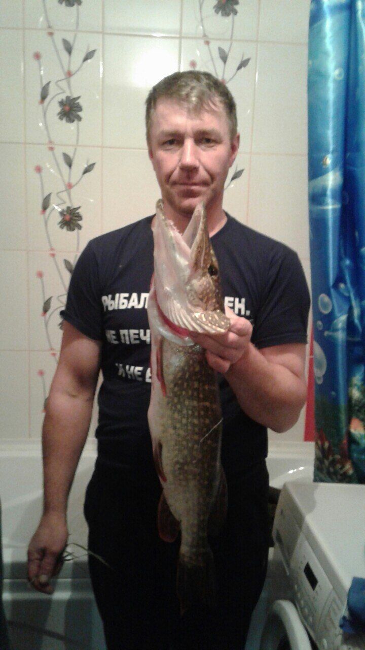 ���� 55651177 ������� �������, 49 ���, ���� ���������� � �������