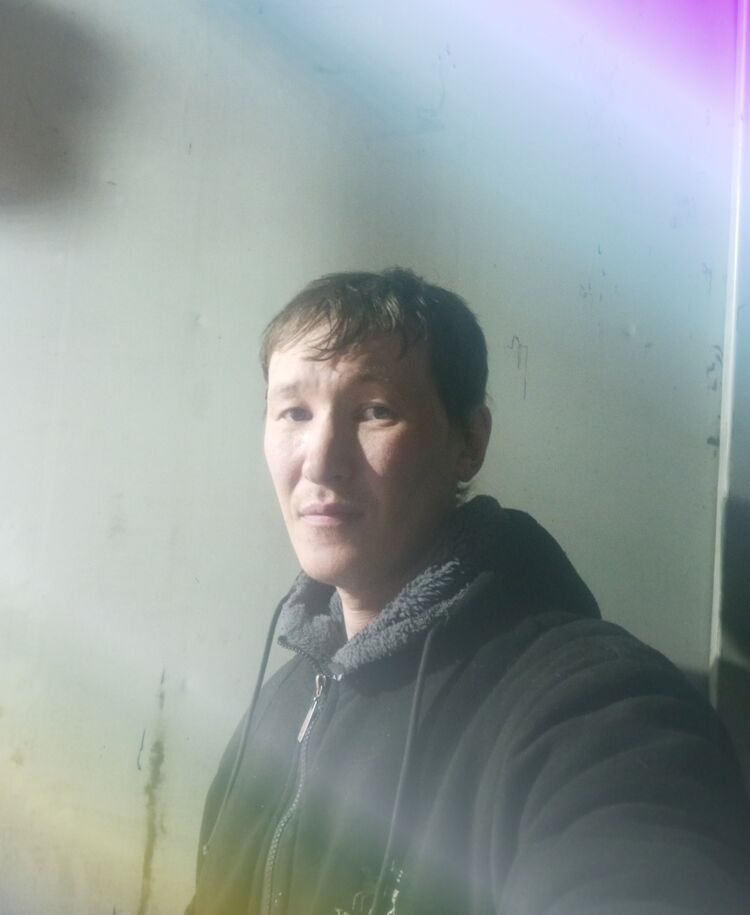  46638357  , 31 ,    