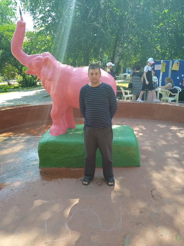  35175857  ˸, 46 ,    