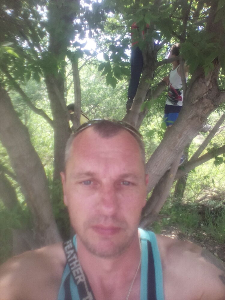  36399417  , 43 ,    