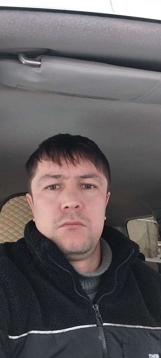  50295037  , 32 ,    