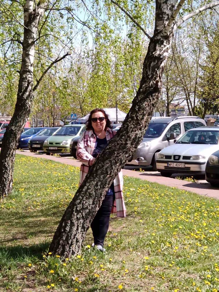 ���� 51180317 ������� ������, 51 ���, ���� ���������� � �������