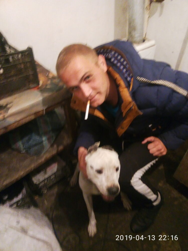  16007677  , 31 ,    