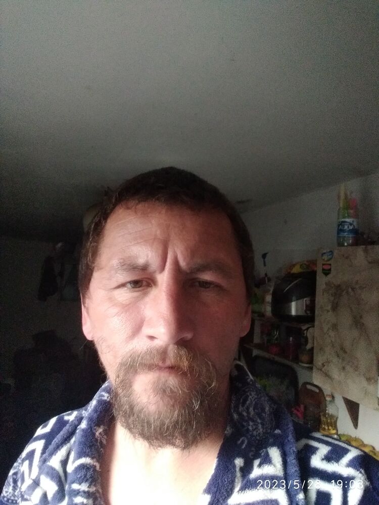 ���� 34818317 ������� ����, 43 ����, ���� ���������� � �����������