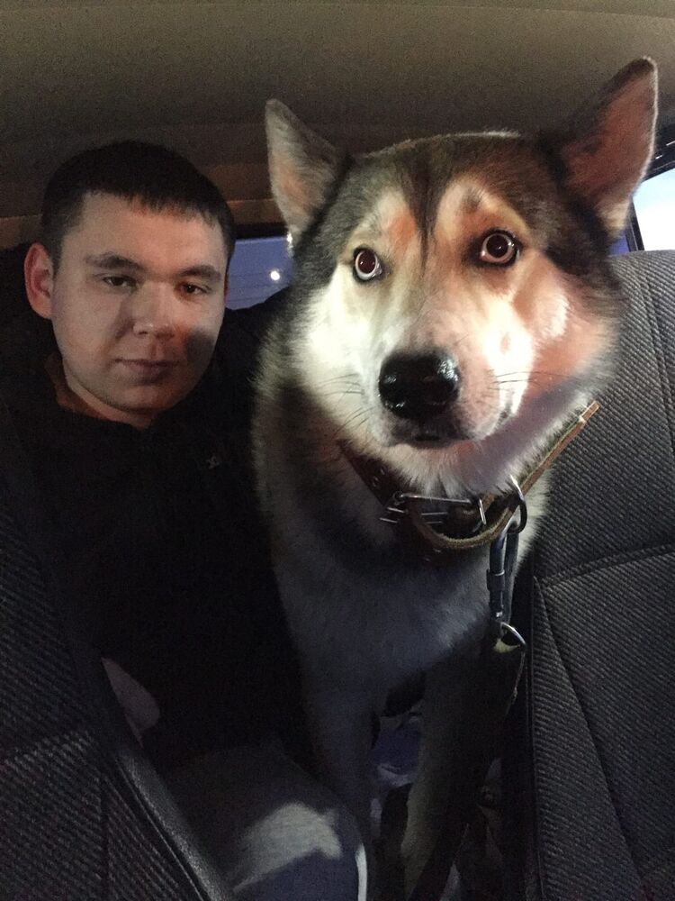 ���� 25874807 ������� ����, 26 ���, ���� ���������� � ���������