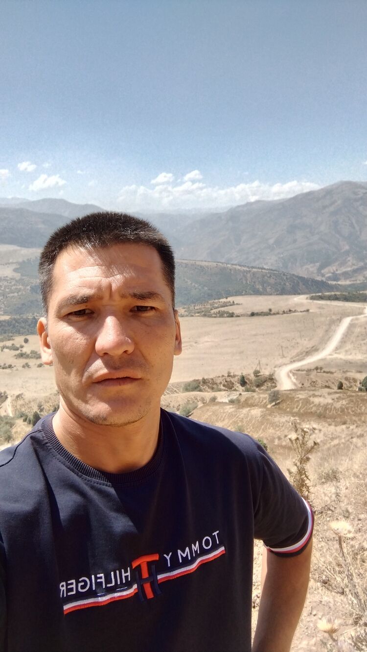  54186337  Zoxid, 38 ,    