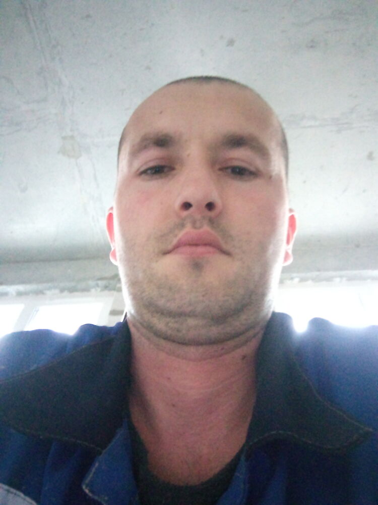  31455477  , 31 ,    