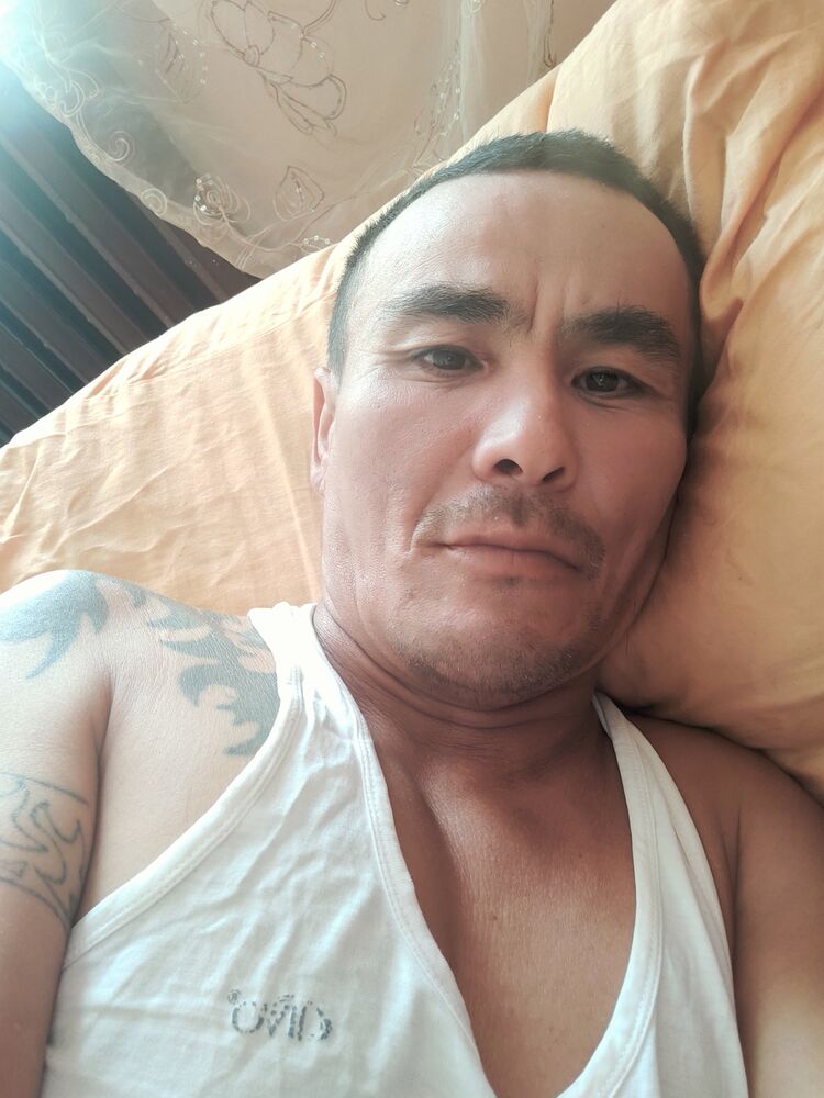  46009387  , 48 ,    
