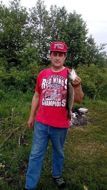 ���� 55581877 ������� ���������, 56 ���, ���� ���������� � ������