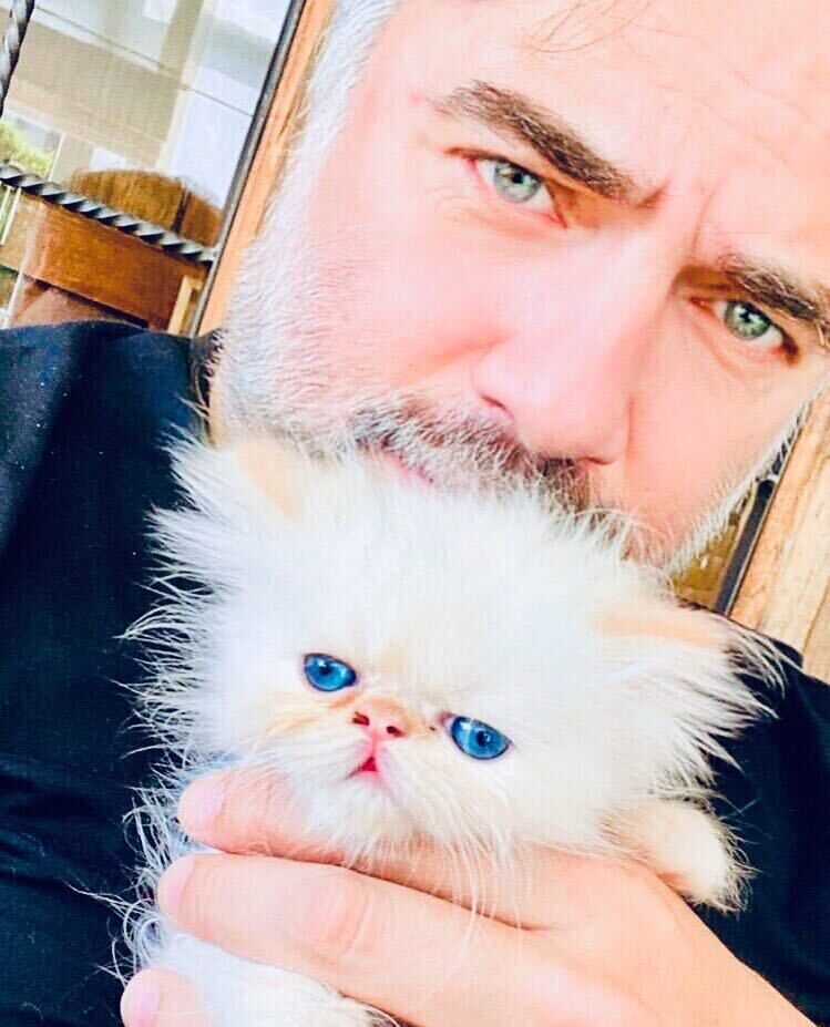 ���� 24983317 ������� ������, 54 ����, ���� ���������� � ������