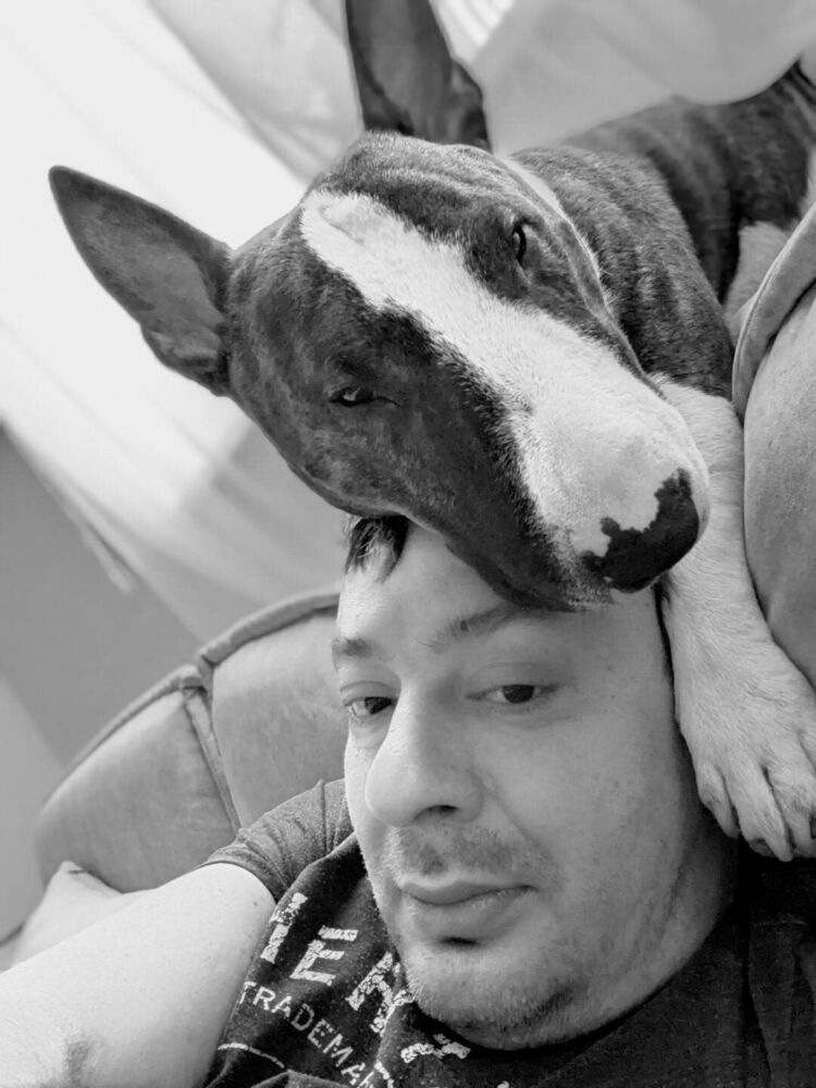 ���������� ������, ���� ������� ����, 44 ����, ������������ ��� ������, ����� � ���������, ���������