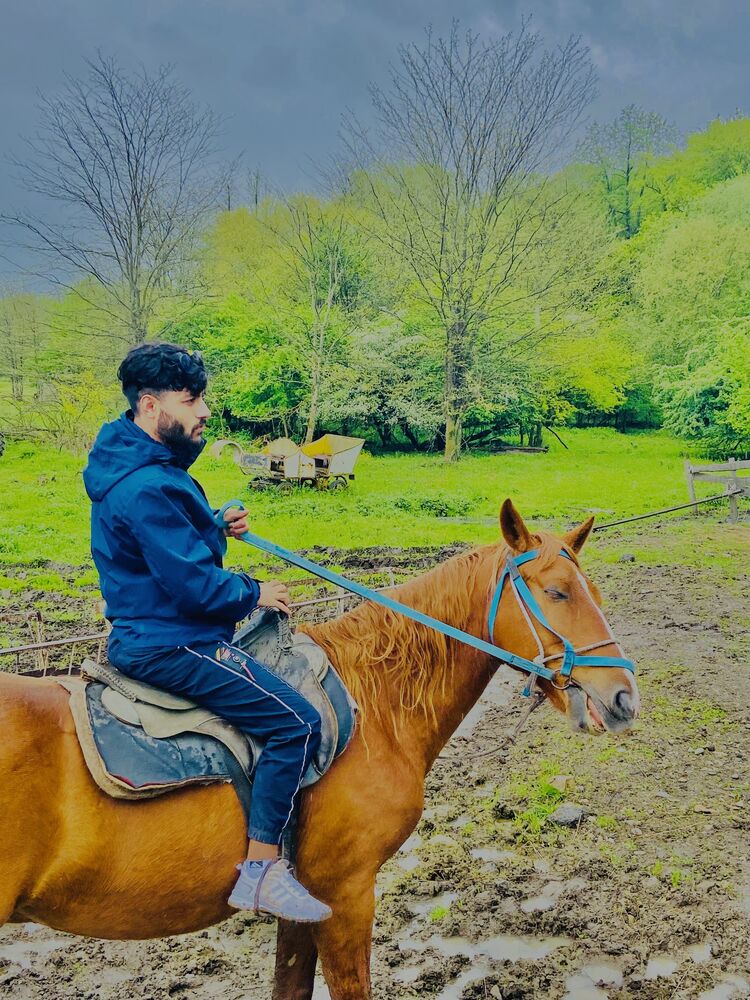 ���������� ���������, ���� ������� �����, 31 ���, ������������ ��� ������