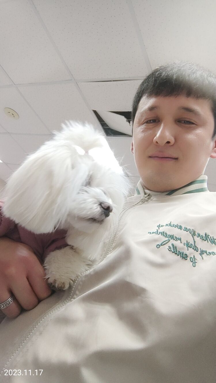 ���� 42184417 ������� ����, 35 ���, ���� ���������� � �����������