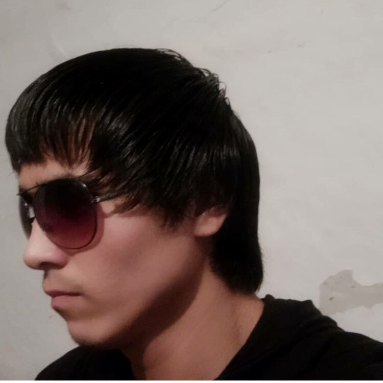  29834377  , 26 ,    -