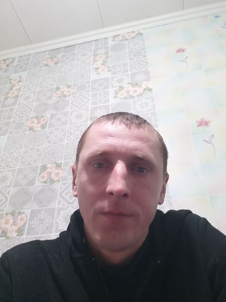  41066857  , 39 ,    -