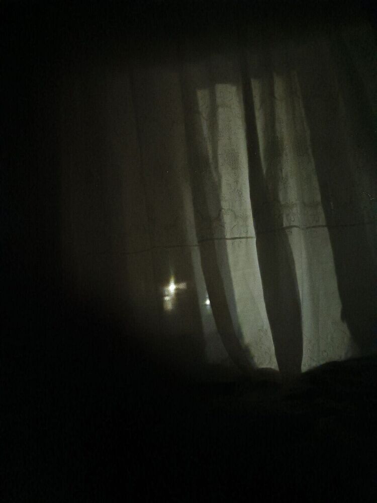  53060887  Alek, 18 ,    