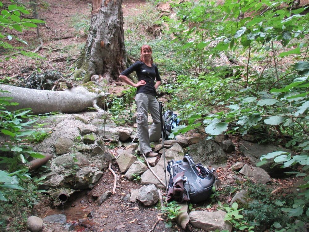 ���� 6602937 ������� ���������, 47 ���, ���� ���������� � �����������