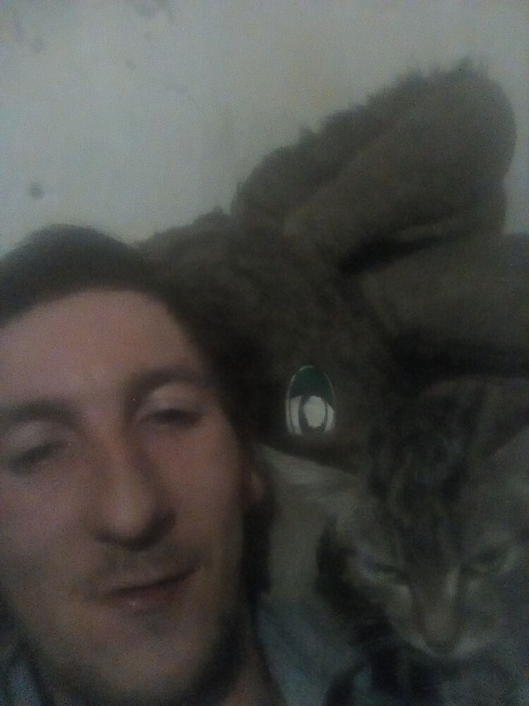 ���� 33529097 ������� ����, 31 ���, ���� ���������� � ������