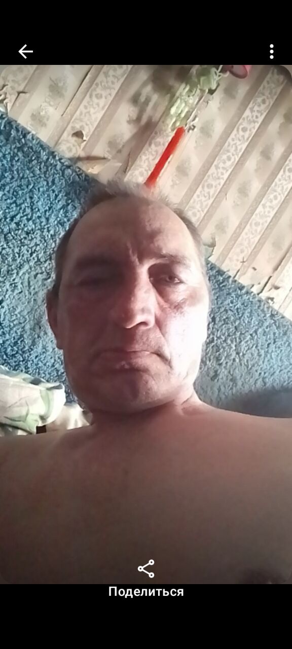  50743997  , 64 ,    