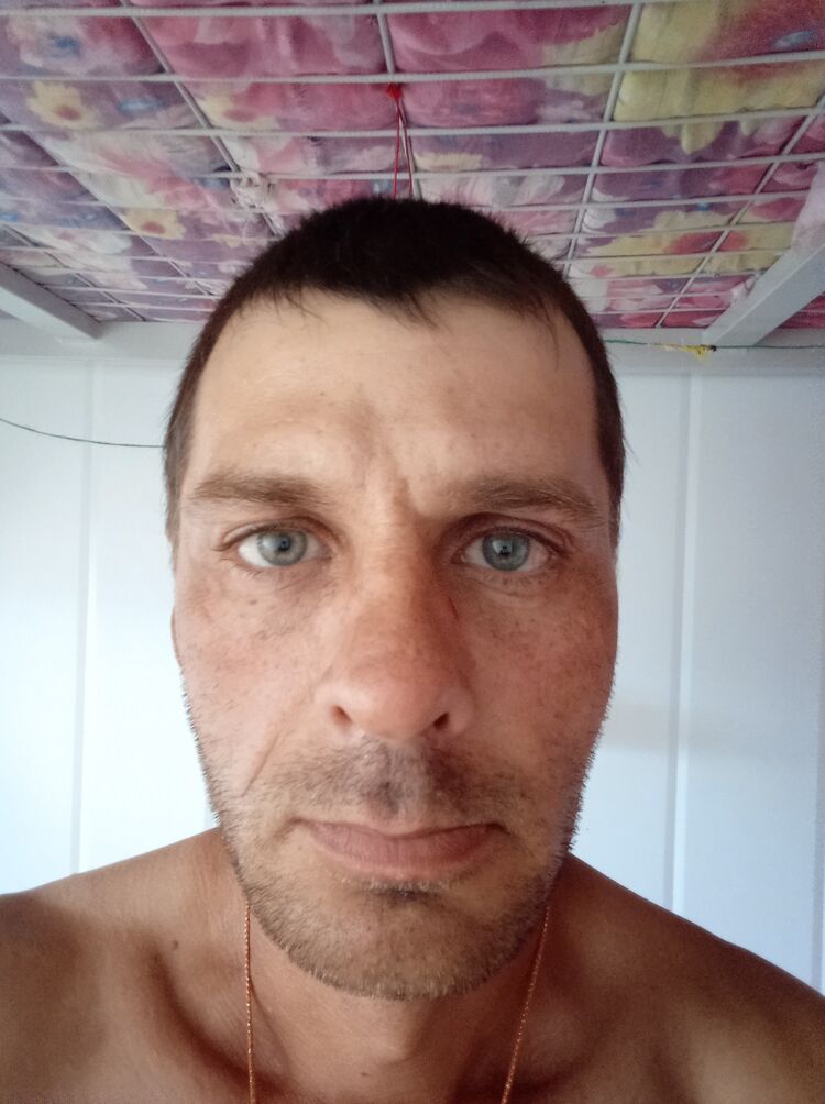  25976747  , 43 ,    