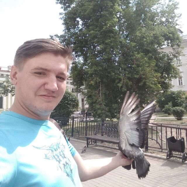 ���������� �������, ���� ������� ����, 41 ���, ������������ ��� ������, ����� � ���������