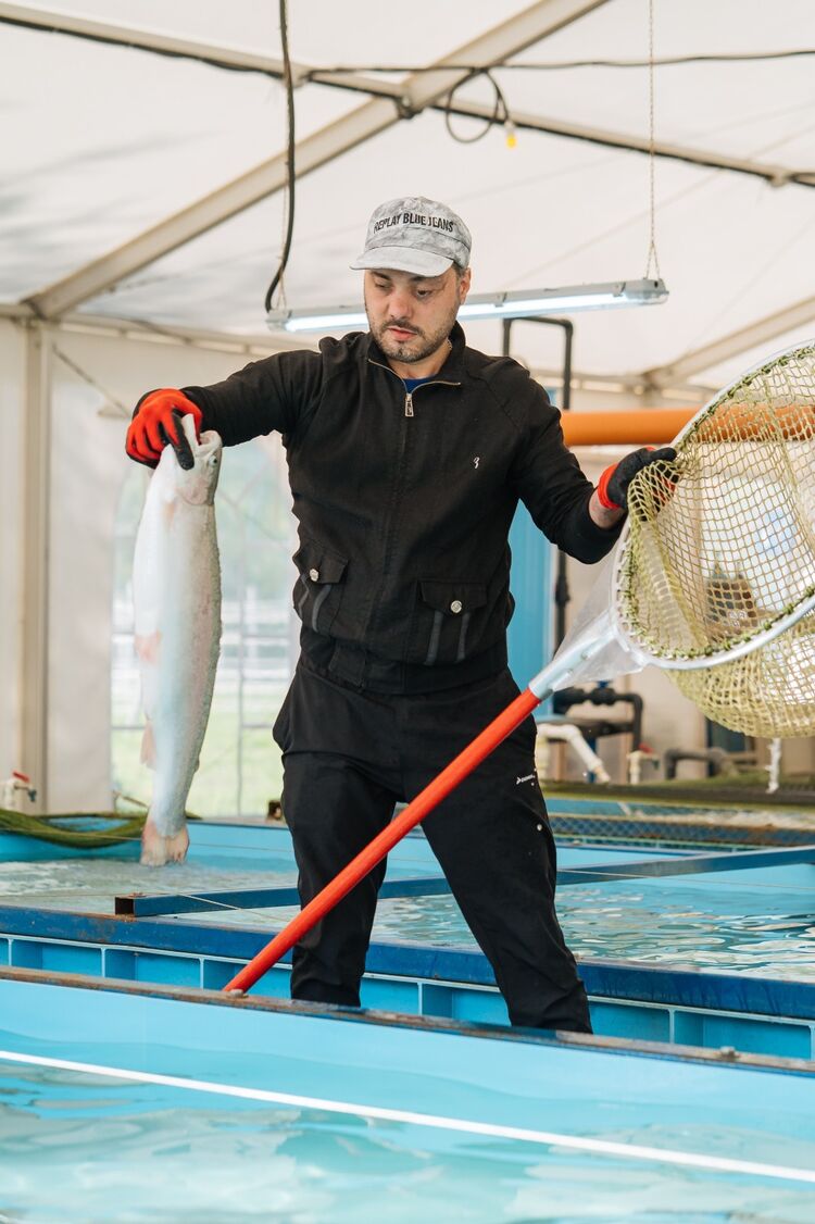 ���� 55392857 ������� �����, 37 ���, ���� ���������� � ����������