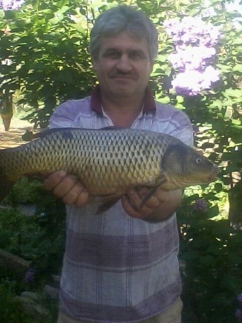  ,   , 60 ,   ,   , c 