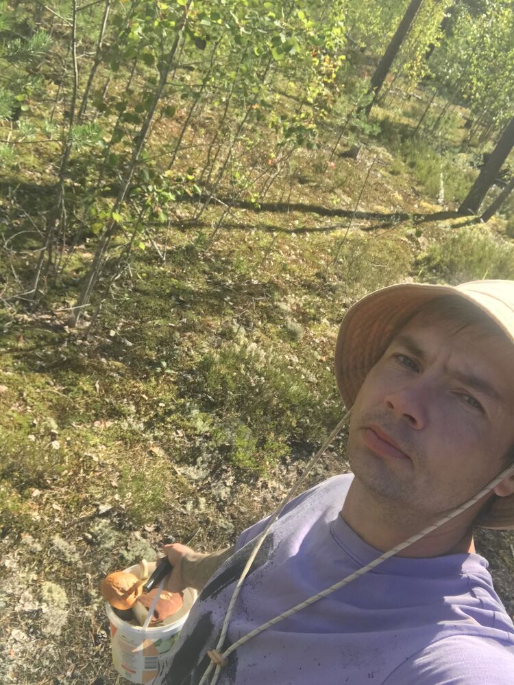 ���������� ������, ���� ������� ����, 38 ���, ������������ ��� ������, ����� � ���������