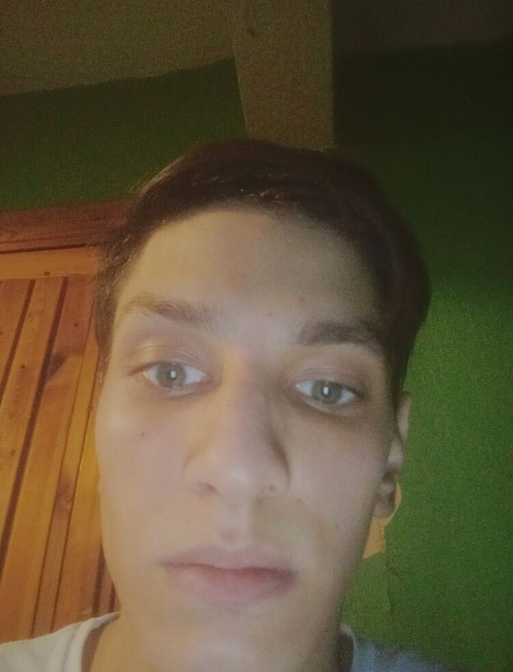  24973497  , 26 ,    